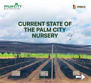 Palm City Farmland