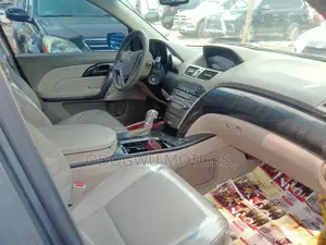 Acura MDX 2009 Gray