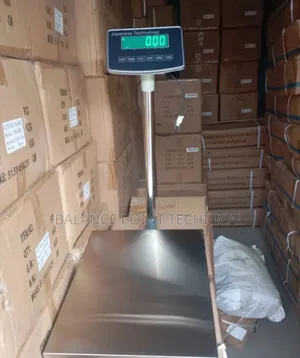 300kg Digital Platform Scale Stainless
