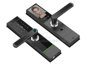 Alphar Df01 Multi-access Video Smart Lock System