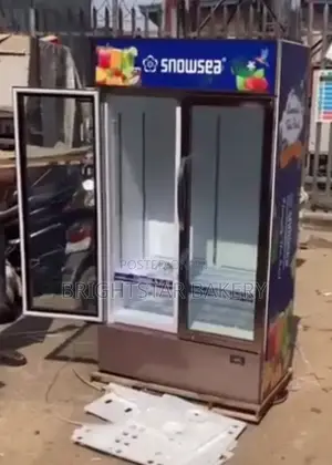 Double Door Display Chilar 700 Litters