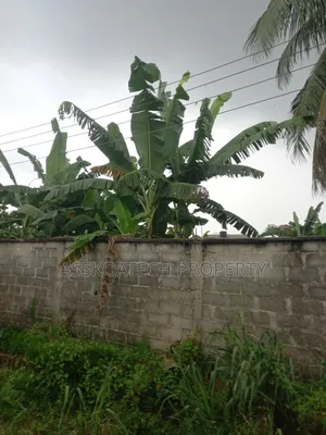 11 Plots of Land