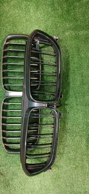 BMW Bonneth Grill