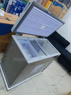 Snowsea Bd-308g 220l – Reliable Chest Freezer for Home Business