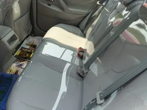 Toyota Camry LE 4dr Sedan (2.5L 4cyl 6AM) 2010 Gray