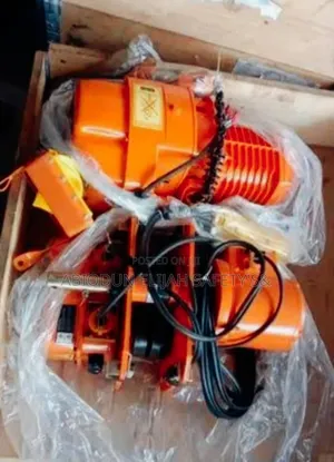 Original Quality Electric Chain Block 3tons by 10meters Chain