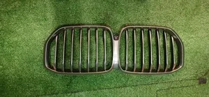 BMW Front Gril