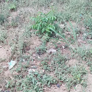 Strategic Land Available at Ikeja