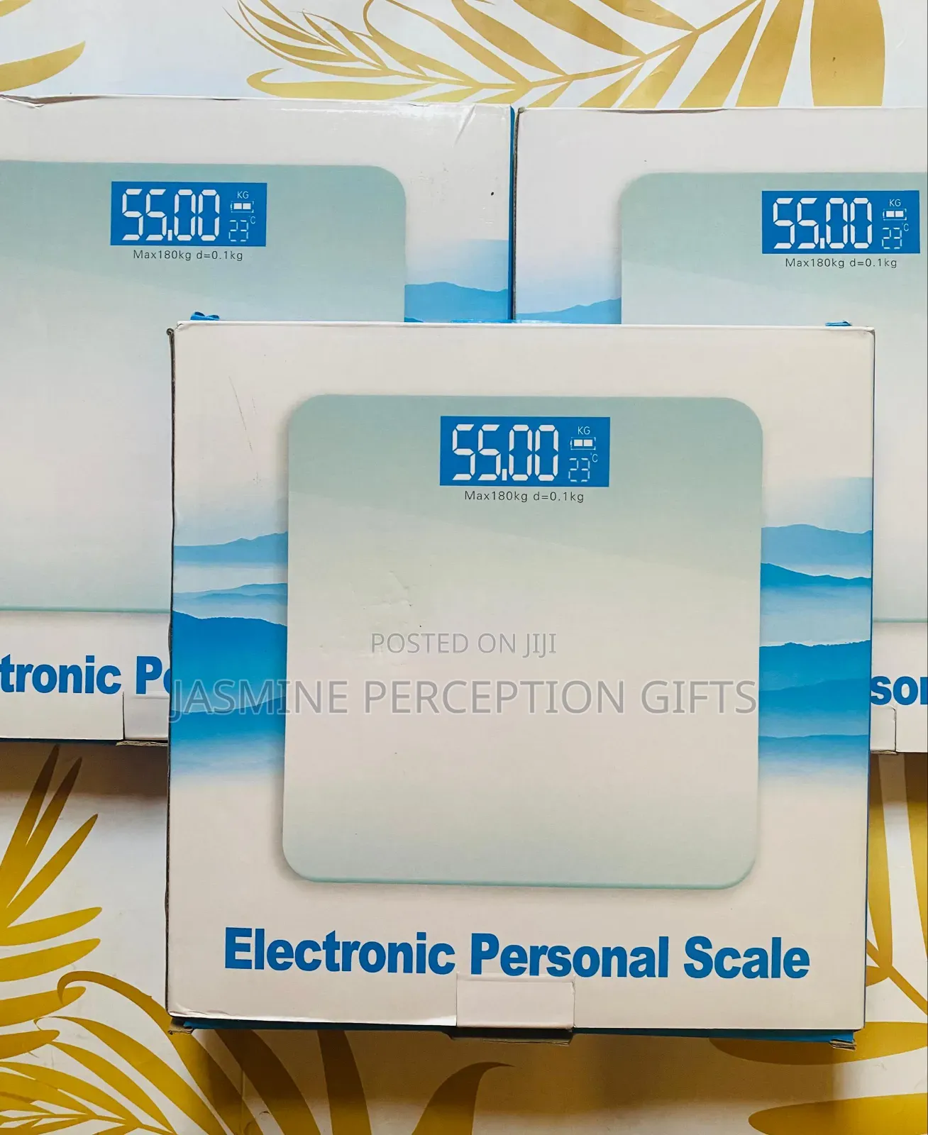 Personal Weight Scale