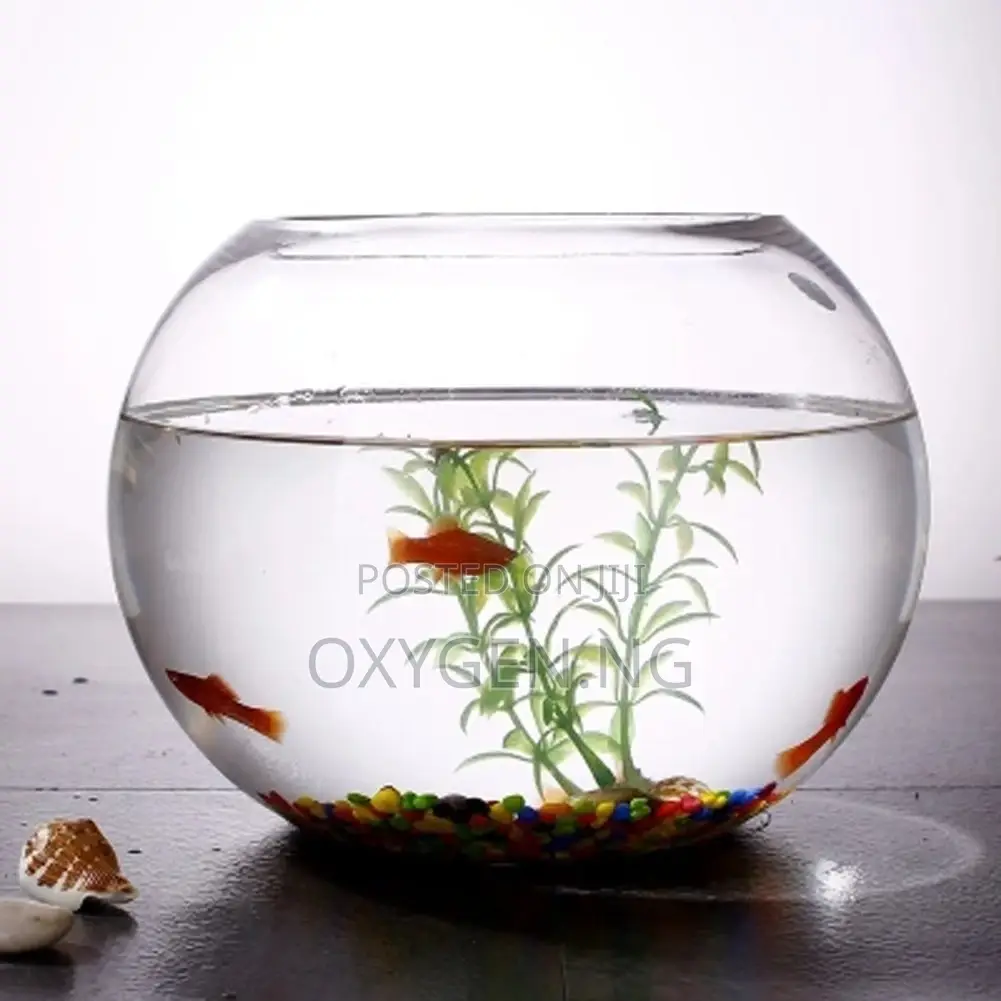 Aquarium Fish Bowl