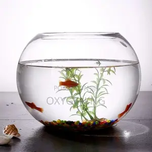 Aquarium Fish Bowl