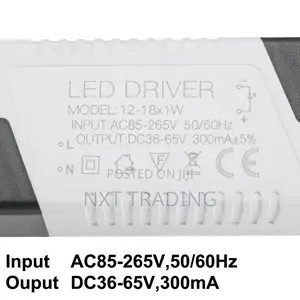 12-18w 300ma Constant Current Led Driver