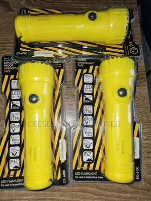 Centurion Ex-6180 Atex Intrinsically Torch Light