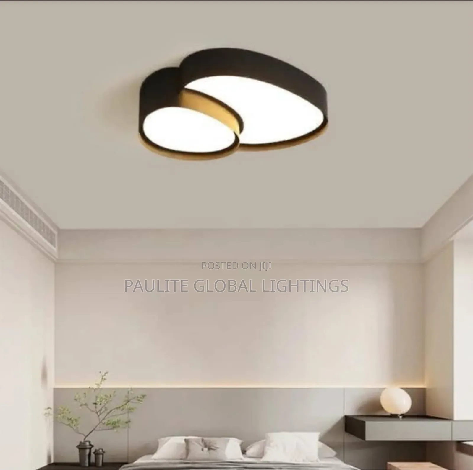 New Designed Luxury Ceiling Fittings Light