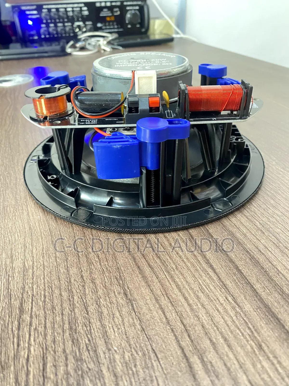 Frameless Ceiling Speaker