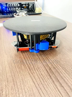 Frameless Ceiling Speaker