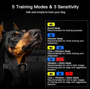 Safe Bark Control Collar