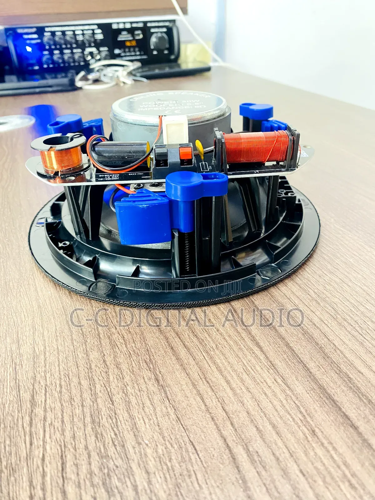 Black Ceiling Speaker
