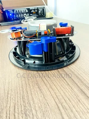 Black Ceiling Speaker