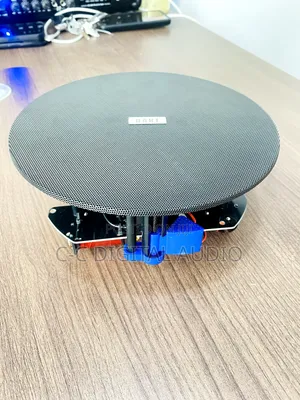 Black Frameless Ceiling Speaker