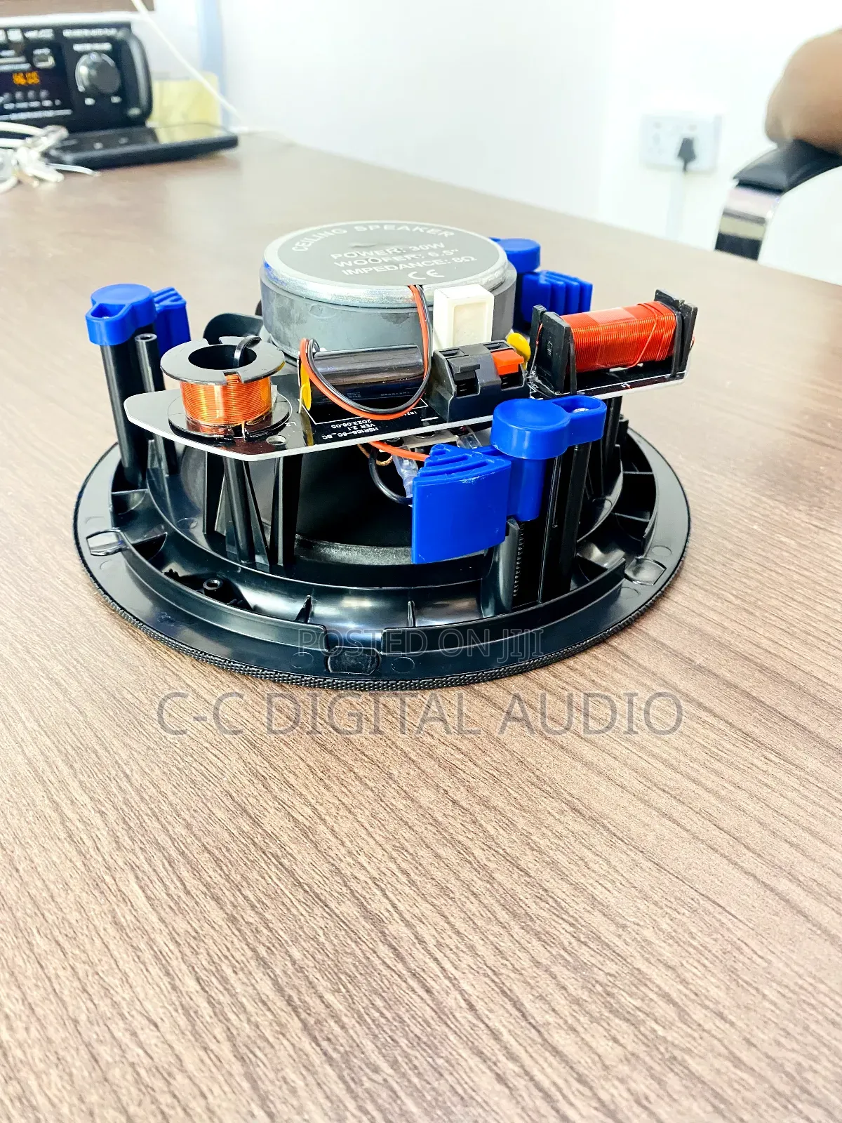 Black Frameless Ceiling Speaker