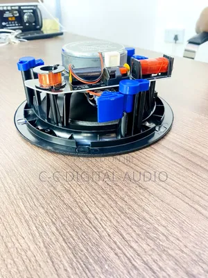 Black Frameless Ceiling Speaker