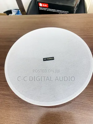 Frameless Bluetooth Ceiling Speaker