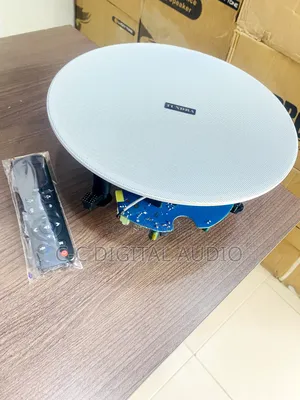 Bluetooth Ceiling Speaker Frameless