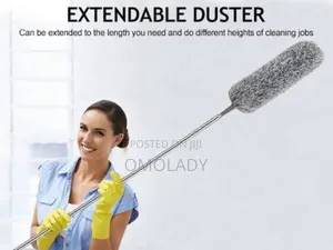 Extendable / Telescoping Duster