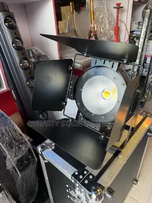 Cob Light 100w White and Warm White