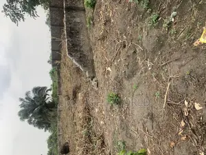 One Plot of Land for Sale at Eneka