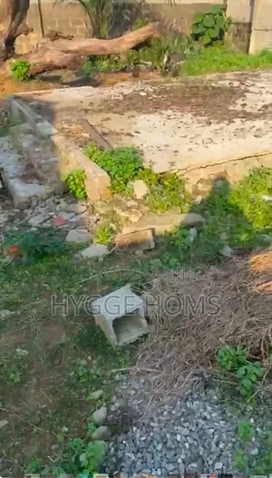 260sqm Land at Maplewood Estate Agege Cofo