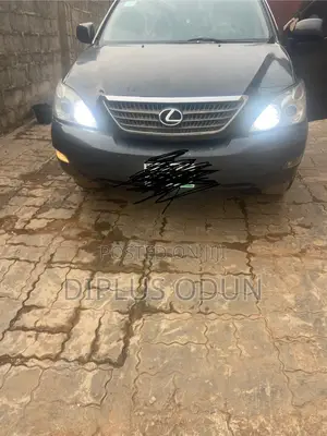 Lexus RX 330 2004 Gray