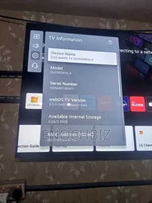 Oled 65 Inches