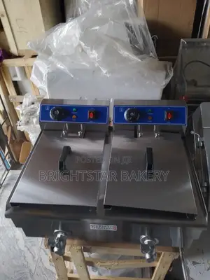 13 Litters Electric Fryer