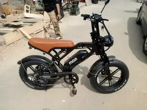 Electric Bike
