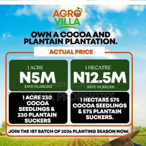 Invest In Cocoa Farming Without Getting Your Hands Dirty.