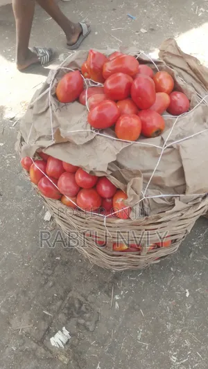 Tomatoes and Onions