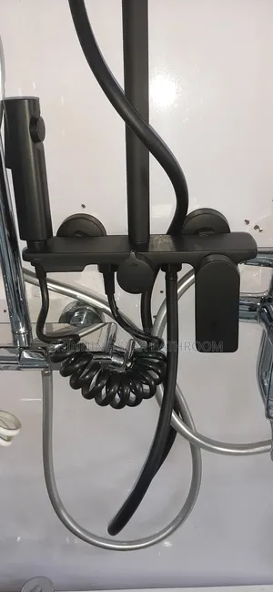 Luxury Black Standing Shower