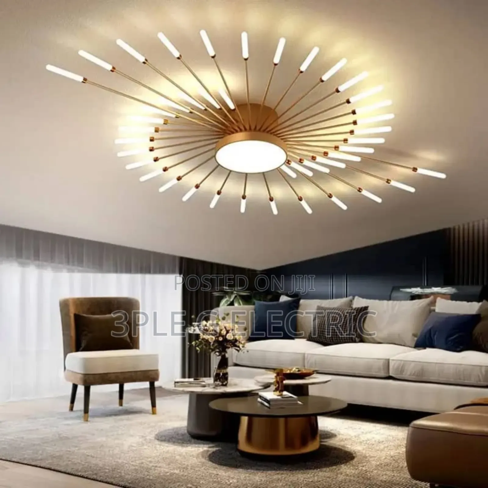 Morden Ceiling Flush