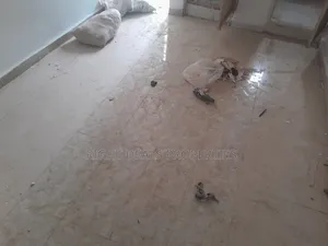 Studio Apartment in Dawaki for rent