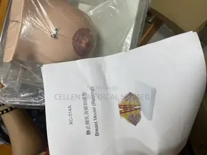 Breast Model