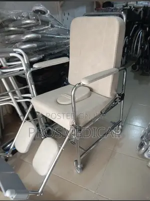 Executive Commode Wheel Chair