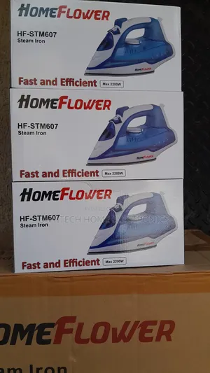 Homeflower Steam Iron [Hf607]