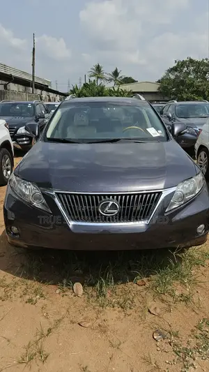Lexus RX 350 2010 Gray