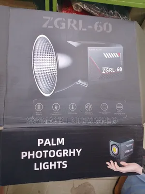 ZGRL-60w Palm Photo Led Light