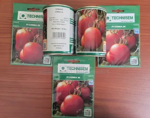 Cobra 26 F1 Tomato - Technisem
