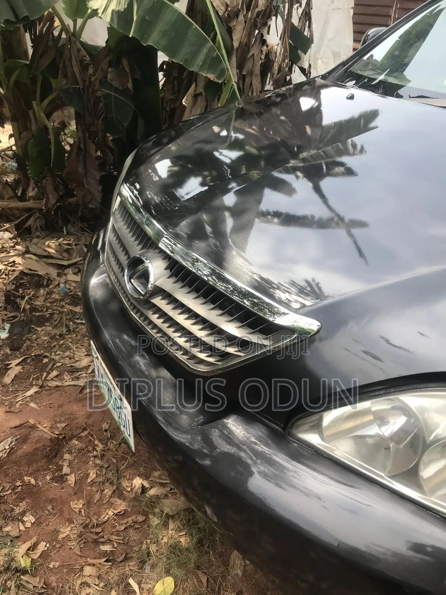 Lexus RX 330 2004 Gray