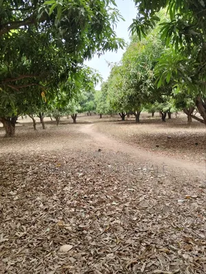 23.927 Hectares