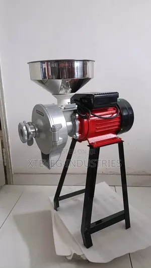 Wetin And Dry Grinder